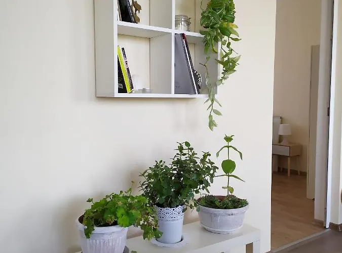 By The Cathedral - Center - 2 Bedroom Flat *